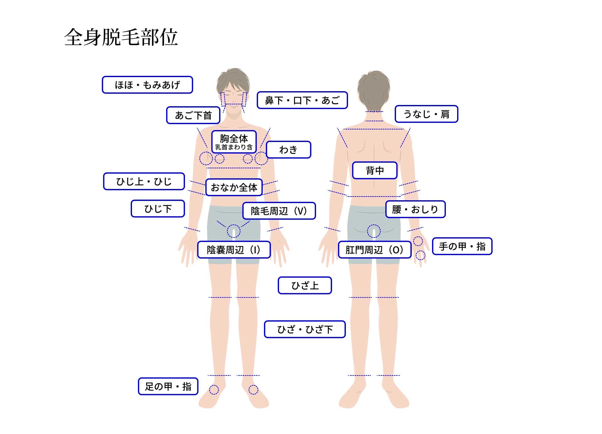 全身脱毛部位